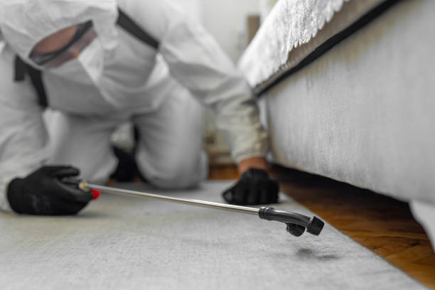 Professional Bed Bug Control technician working in Belmont Estates, VA